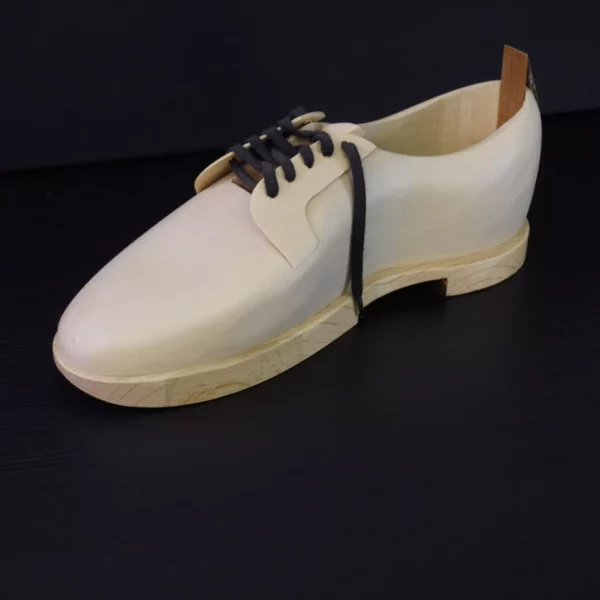 Chaussure de Ville Elégante