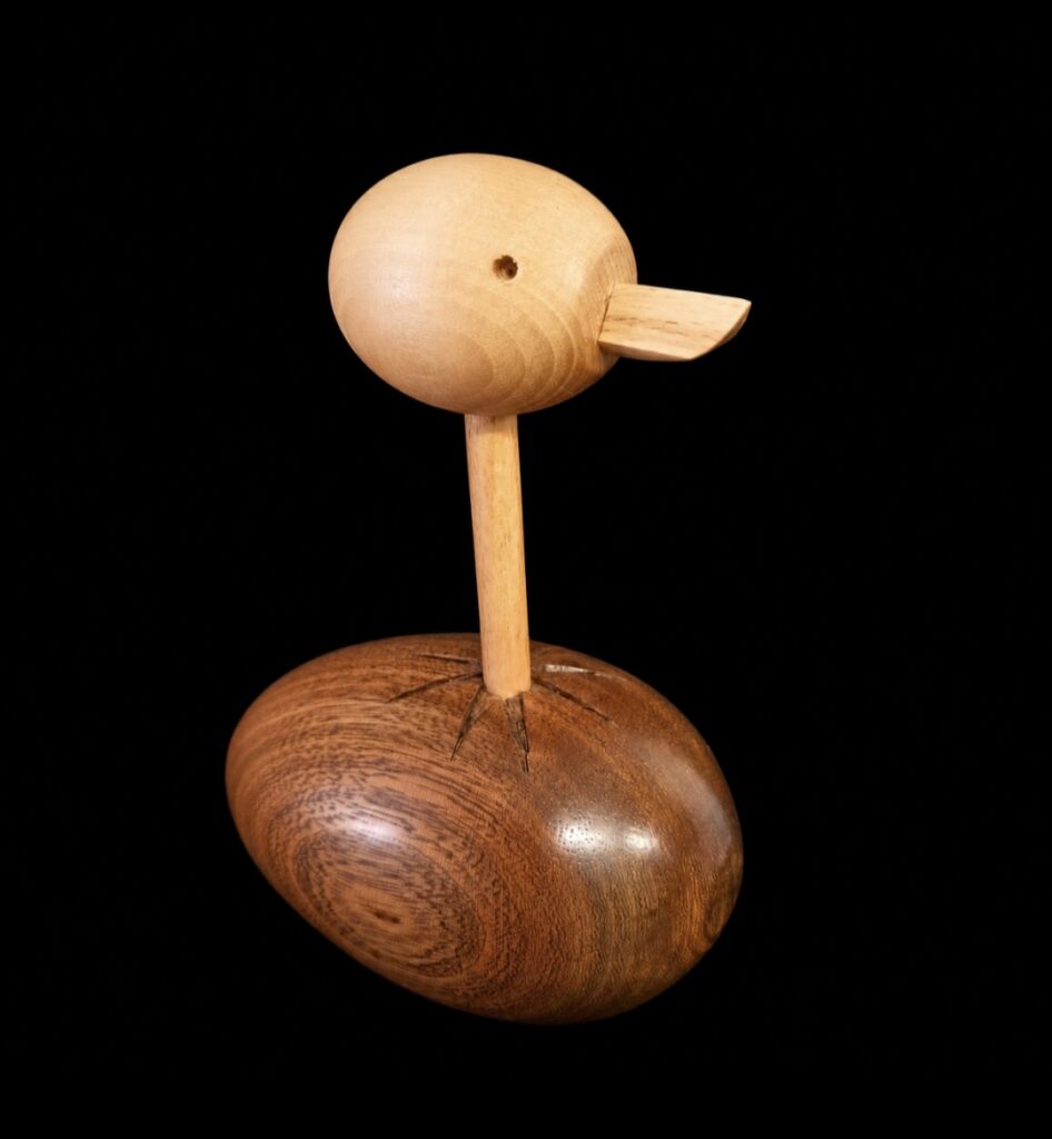 Poussin qui éclot de son œuf